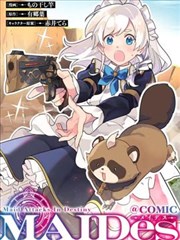 塞纳快浪 法国 2014